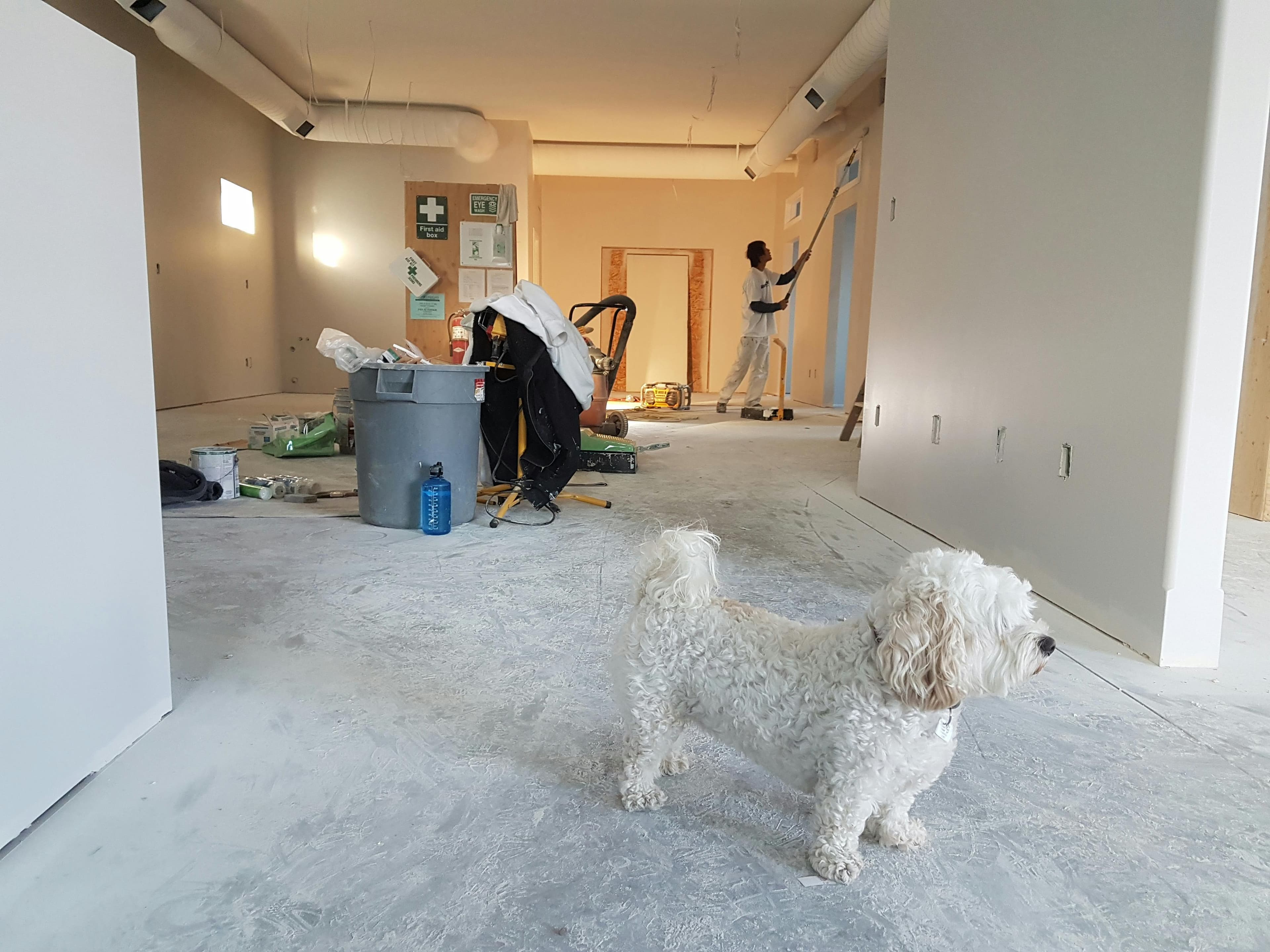 Remodeling 